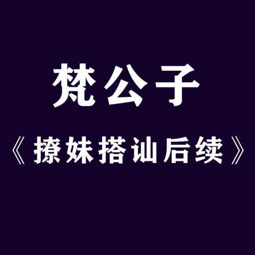 梵公子：搭讪恋爱后续聊天视频教程